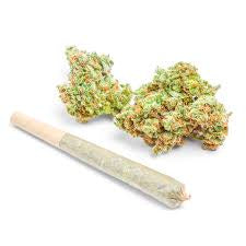 GAZZ GODZ $5 HOUSE PRE ROLLS
