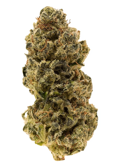 THCA BLUE LOBSTER (87) (Hybrid)