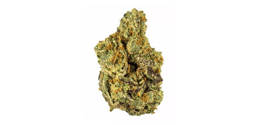 THCA  GARY PAYTON (87) (Hybrid)