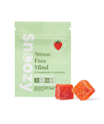 Snoozy Focused based Gummies 2ct and 20ct
