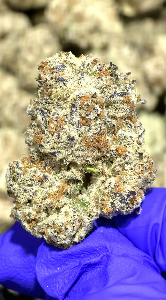 THCA TYSON (BOUTIQUE) (Hybrid)