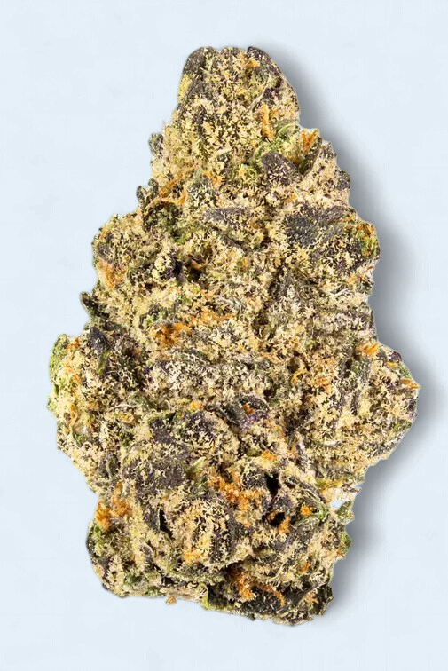 THCA FENDI RUNTZ (93) (Hybrid)