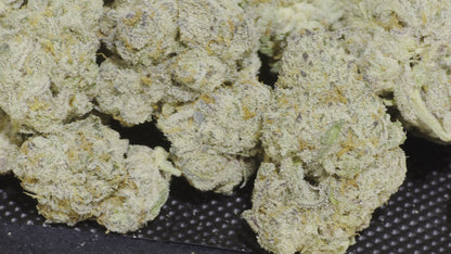 THCA TYSON (BOUTIQUE) (Hybrid)